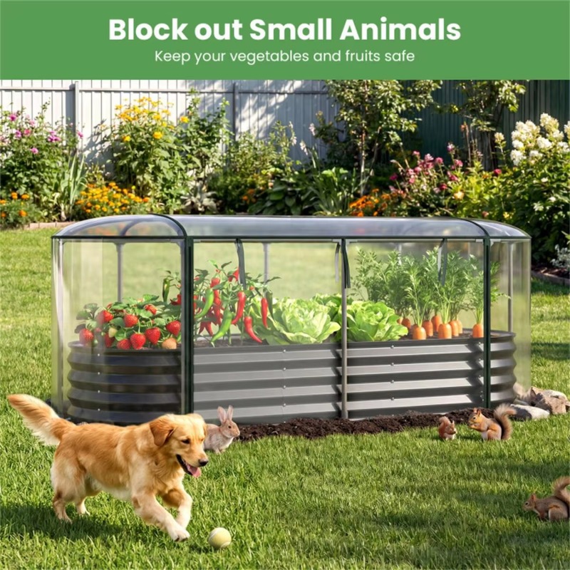 3 year-round elevated garden p - Glass Bed review and price